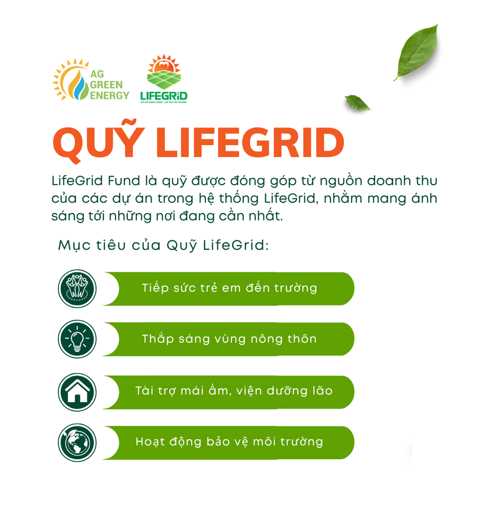 Giới thiệu LifeGrid