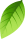 Decorative Leaf
