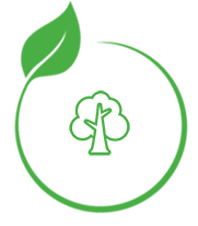 Tree Icon
